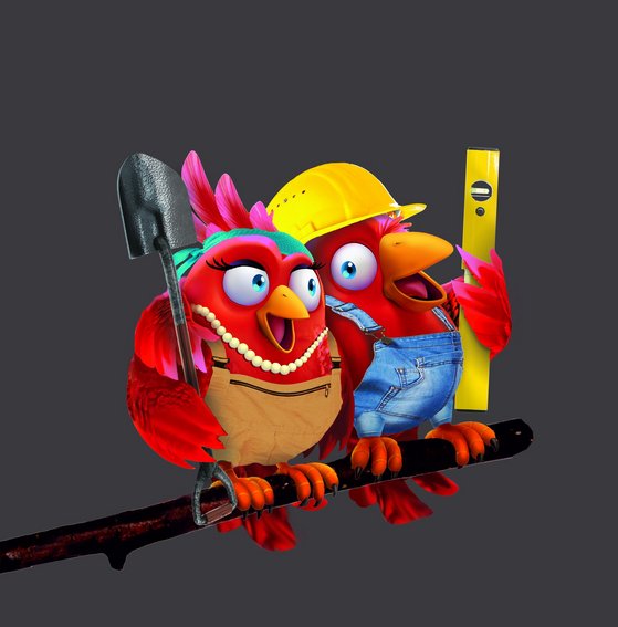 Nestexperten-Schritt-7-Baubeginn-bauen Nestexperten